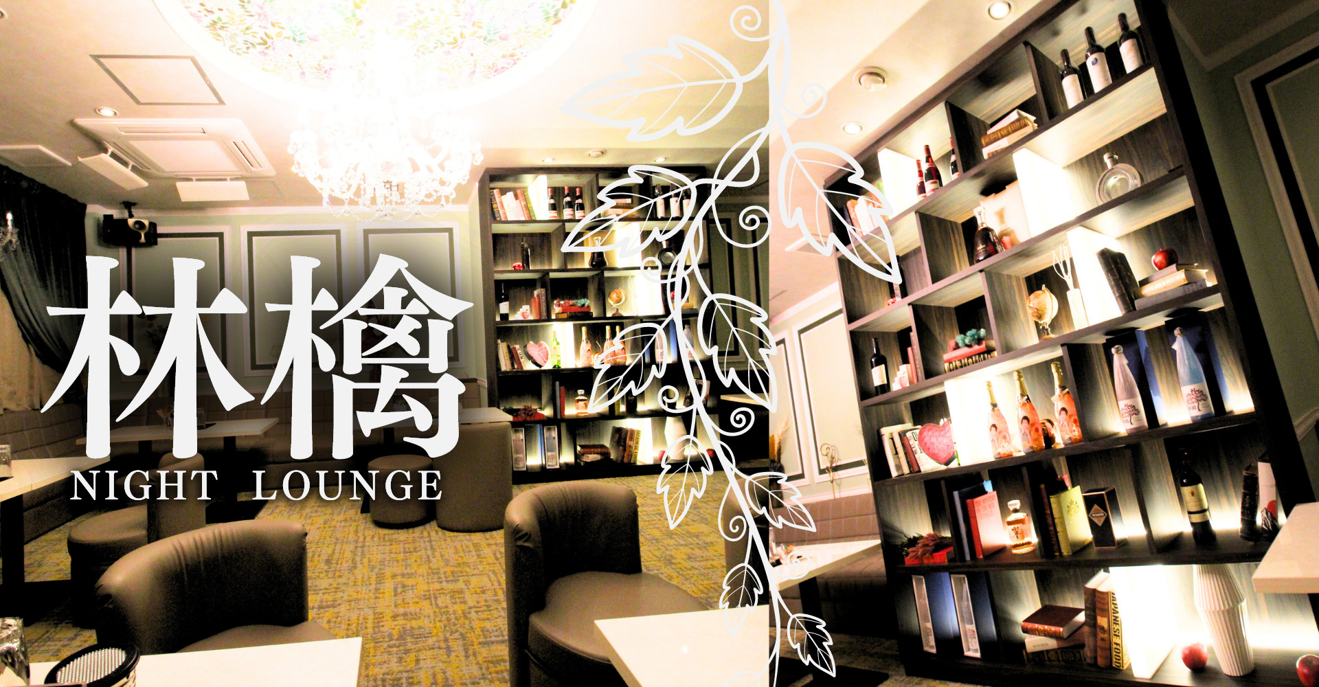 Image hover effect image